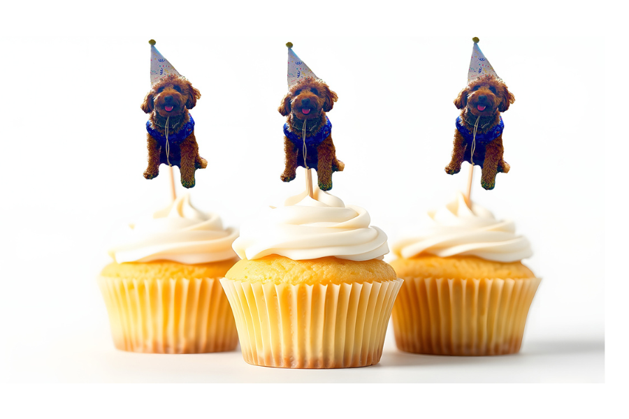 Custom photo toppers